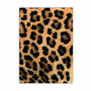 Poster - Leoprint